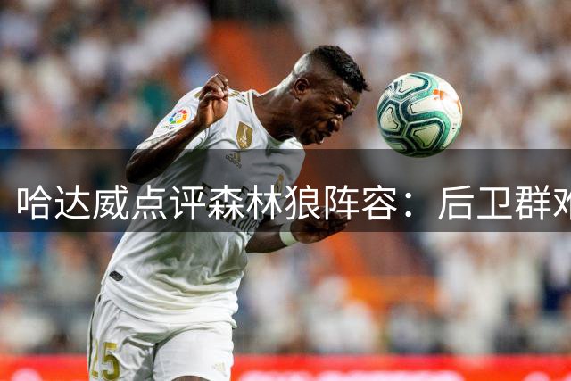 哈达威点评森林狼阵容：后卫群难撑大局